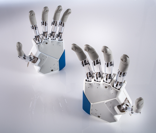 Azzurra_01-Artificial Hands_1